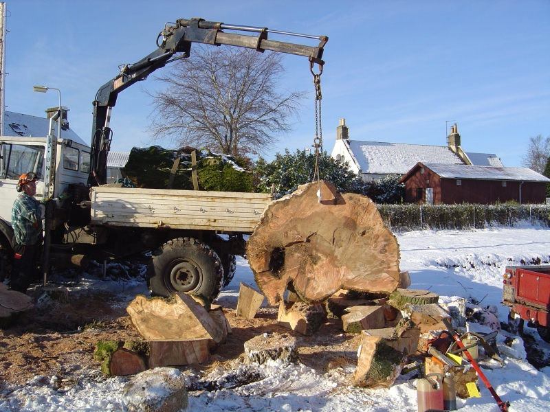 20th February 2010 028